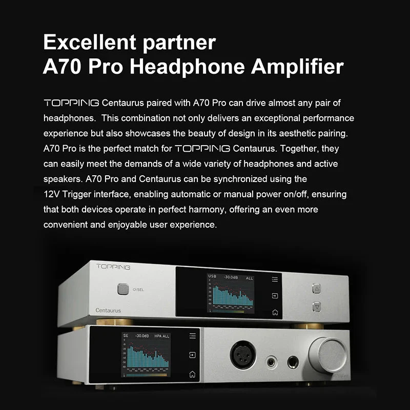 TOPPING Centaurus Fully Balanced R2R DAC - Image 6